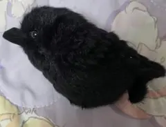 カラス　ぬいぐるみ　マスコットキーリング