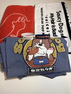 Saucy Dog Tシャツ タオル セット - メルカリ