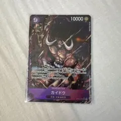 カイドウSRパラレルヤマトsec2枚