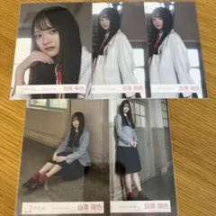 目黒陽色　生写真まとめ売り11枚