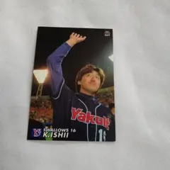 送込！プロ野球チップスカード:ヤクルトスワローズ石井一久