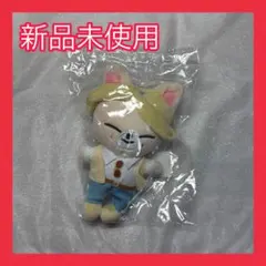 【新品未使用】straykids アイエン フォクシニー バッグチャーム ぬい