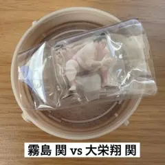 【霧島 関 vs 大栄翔 関】大相撲 好取組アクリルスタンド（カプセルスタンド）