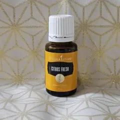 ヤングリヴィング　オーソイーズ　新品未使用　ヤングリビング 新品未開封☆YoungLiving☆プレゼントタイム 入荷・欠品情報（10月31日