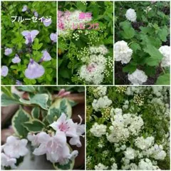 절개 스프링 4종 선택