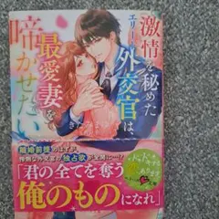 激情を秘めたエリート外交官は、最愛妻を啼かせたい～契約結婚なのに溺愛で満たされ…