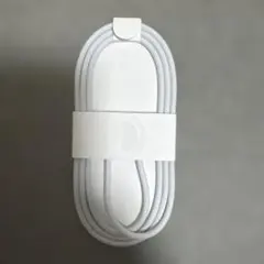 【Apple純正】USB-C 充電ケーブルホワイト 編み込み18Pro付属品