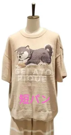 ジェラピケ ルームウェアセット 柴犬 gelato pique　ベージュ　短パン