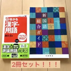 【値下げ！】大学入試受かる漢字・用語パピルス1467＆新国語総合ガイド2冊セット