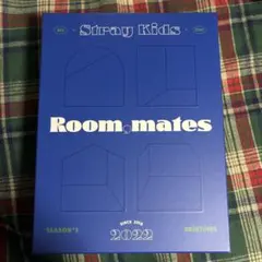 Stray Kids 2022 Season's Greetings シーグリ