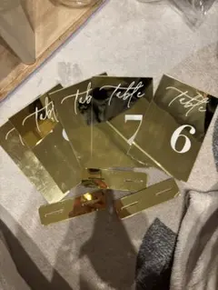 Item thumbnail for item 556d0643-5fcb-43e7-96ae-60e7f2e6e9a7