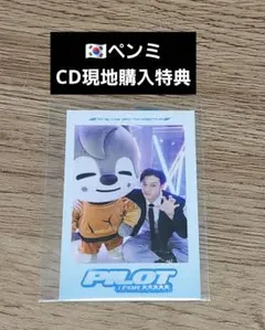 straykids スキズ SKZ トレカ バンチャン pilot