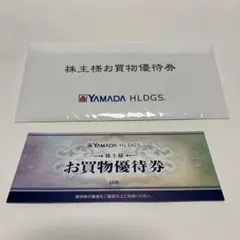 ヤマダ電機　お買物優待券　5000円分