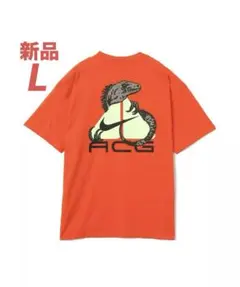 ナイキacg Tシャツ 完売商品 L NIKE 新品未使用のサムネイル