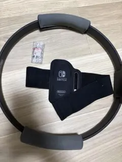 Ring Fit Adventure (リングフィットアドベンチャー）