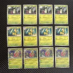 チコリータ ベイリーフ メガニウム まとめ売り