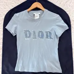 良品　ガリアーノ期　クリスチャンディオール　Tシャツ　ロゴ　水色　Mサイズのサムネイル