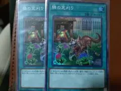隣の芝刈り 魔法カード 2枚セット