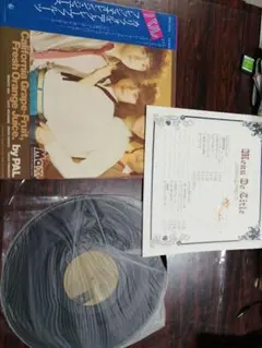 Item thumbnail for item 9c5217bb-2122-4af9-b3f9-f56b879f1575