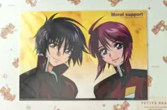 機動戦士ガンダムSEED DESTINY フォトコレDX シン ルナマリア