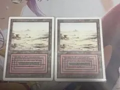 デュアルランド