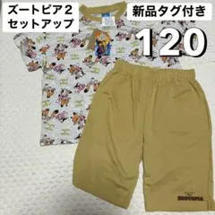 新品タグ付き 120 ズートピア2 セットアップ Tシャツ ショーパン 綿100のサムネイル