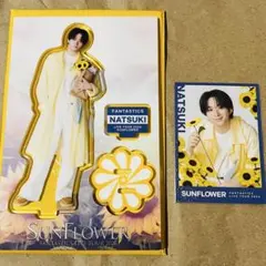 2026年最新】澤本夏輝 シクレの人気アイテム - メルカリ