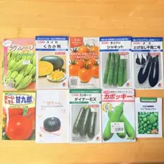 ラスト１夏野菜の種10種＋おまけ4種　マイクロきゅうりオレンジトマト掌カボチャのサムネイル