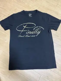 安室奈美恵 ツアーTシャツ Finally Amazon.co.jp: 安室奈美恵 finallyライブTシャツ Lサイズ FC限定