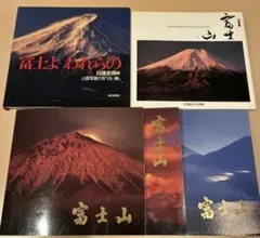 宮田 雅之 切り絵 日本画 赤富士 ジグソーパズル 1000ピース 内袋未
