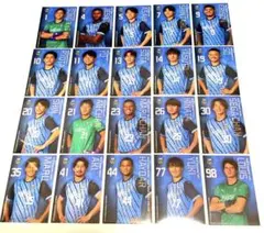 Item thumbnail for item 55057dd2-0cb6-4975-a714-cd155c625e59