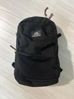 GREGORY グレゴリー リュック バックパック キャンバスデイL