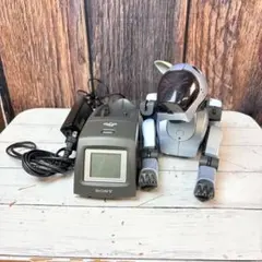 Item thumbnail for item bdacdeb5-5360-46e9-a401-2673d61f16a8