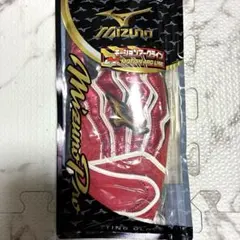 新品未使用 ミズノプロ モーションアークバッティンググローブ（両手用） 25cm