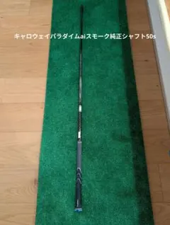 Item thumbnail for item c9930595-397e-443f-b354-1bbb6193dd28