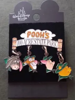 ★レア！★レトロ★WDW★POOH'S 100 ACRESTATEPARK★ピン