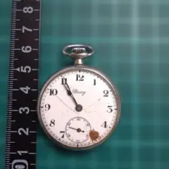 希少・新品】Swatch×BUCHERER コラボウォッチ スイス観光局落札品 