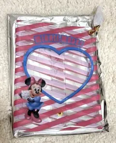 ディズニー ディズニーストア シークレット　クリアポーチ ミニー