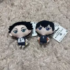 ハイキュー　赤葦　影山