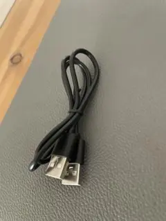USBケーブル ブラック Aオス-Aオス 約40cm