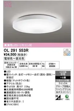 ENDO ERG5520W LEDシーリングライト 昼白色 - メルカリ