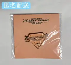 SEVENTEEN RIGHT HERE JAPAN PINS(愛知)