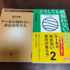 ケーキの切れない非行少年たち どうしても頑張れない人たち 2冊 宮口幸治