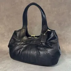 Coach Ergo Pleated Frame Kiss Rock Bag