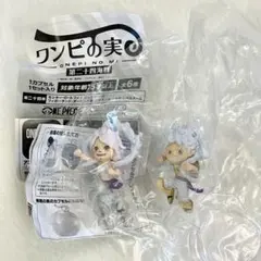 ワンピの実 第二十四海戦 ニカルフィニカボニー