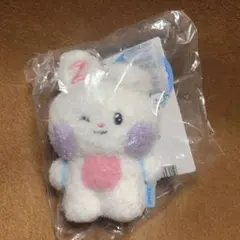 zeroni ユジン ぬいぐるみ ユニニ　新品未開封 Amazon.co.jp: zeroni yunini ユニニ ぬいぐるみ zb1 ユジン