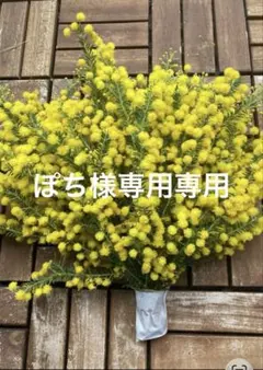 ミモザゴールデン生花 ドライフラワー 花材　スワッグ　リース　ハーバリウム