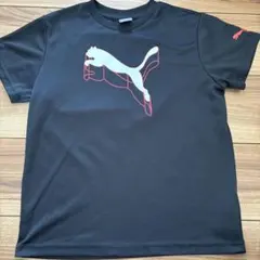 PUMA ブラック Tシャツ 150cm
