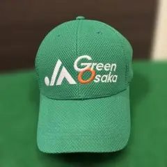 希少！】全日空 ANA 企業物 整備士キャップ プロフェッショナル整備士