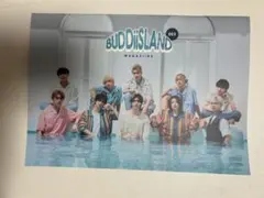 BUDDiiSLAND MAGAZINE 003